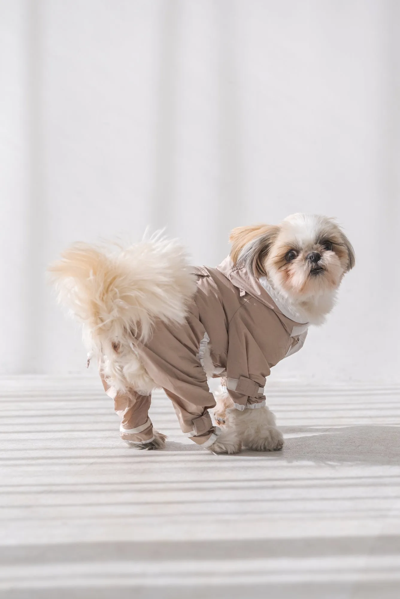 ドッグナイロンパーカー｜DOG NYLON PARKA