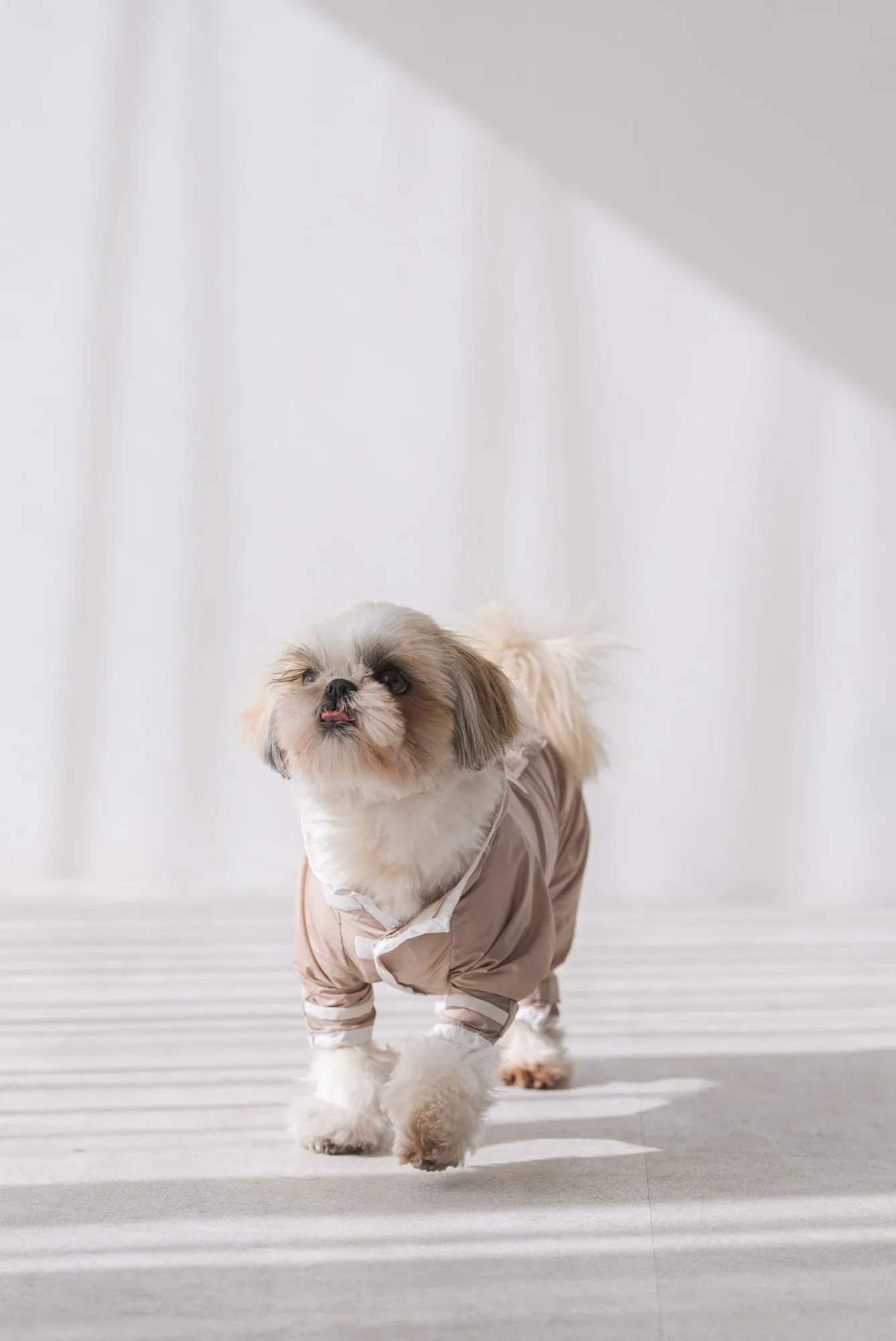ドッグナイロンパーカー｜DOG NYLON PARKA
