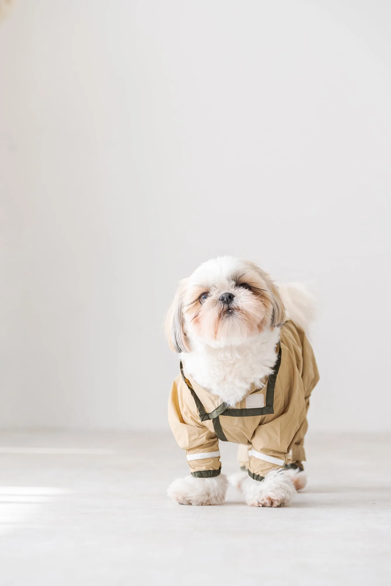 ドッグナイロンパーカー｜DOG NYLON PARKA