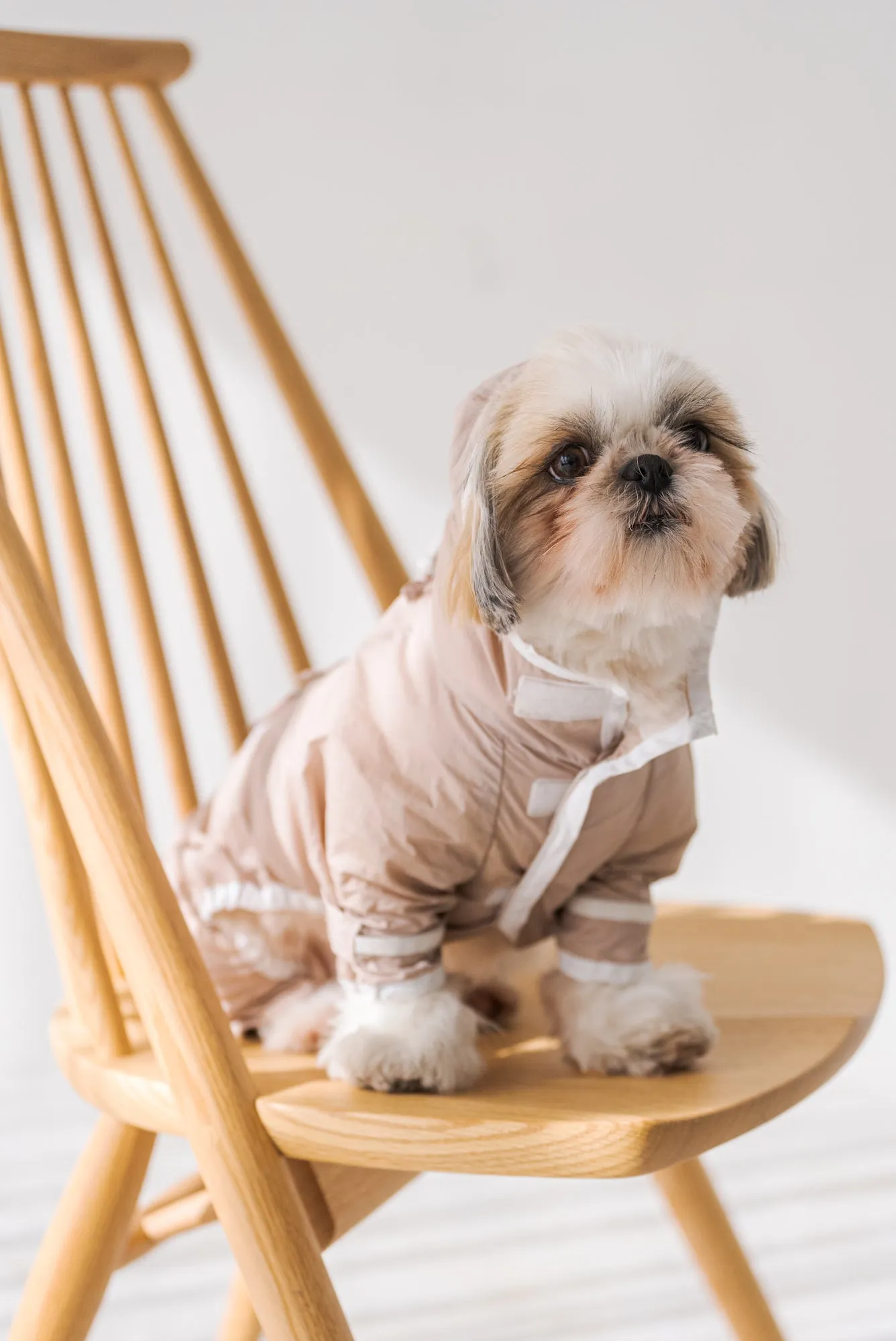 ドッグナイロンパーカー｜DOG NYLON PARKA